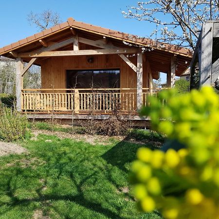 La Cabane Du Jardin Bongheat Екстер'єр фото