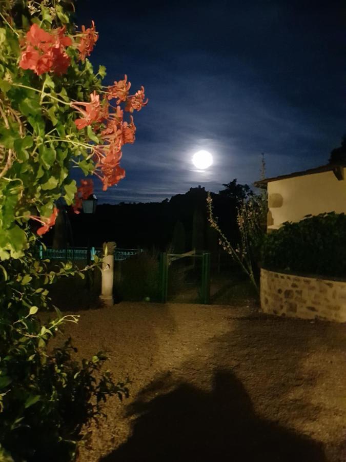 La Cabane Du Jardin Bongheat Екстер'єр фото